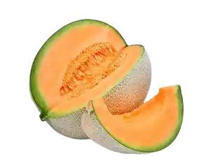 Honeydew