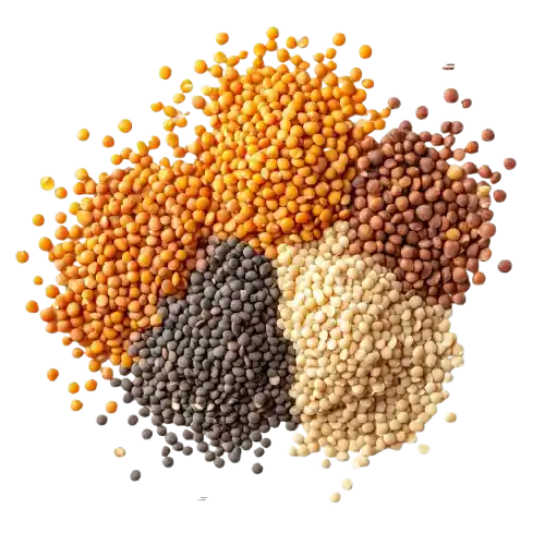Millet