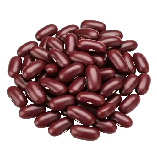 Kidney Beans