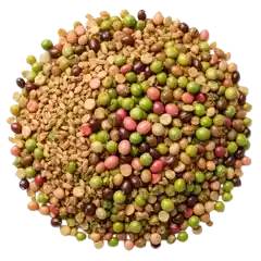 Lentils