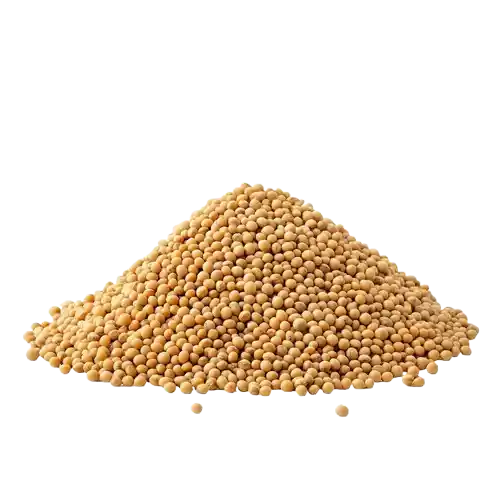 Soybeans