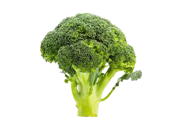 Broccoli