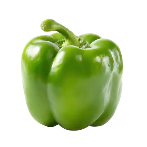 Capsicum