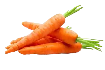 Carrot