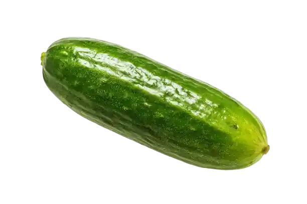 Cucumber