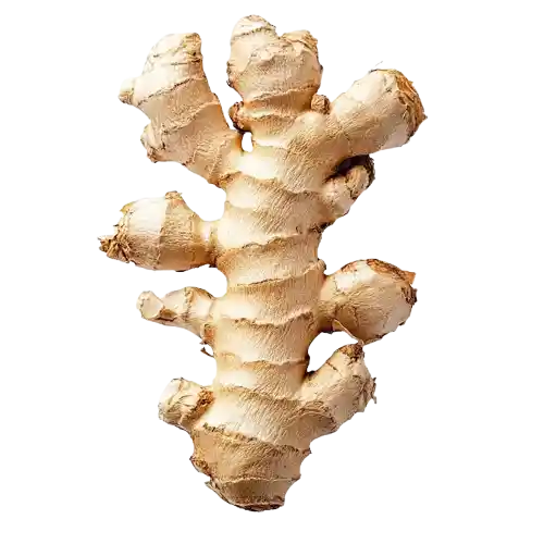 Ginger