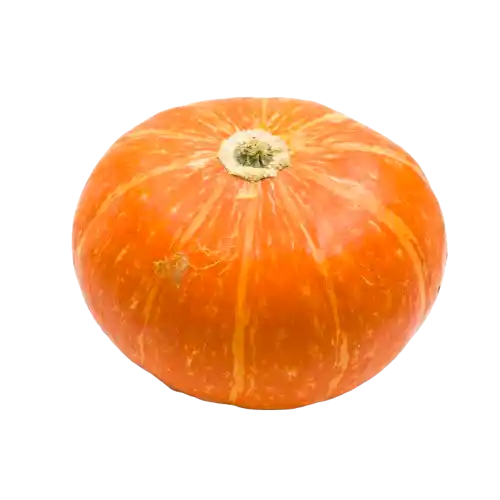 Pumpkin