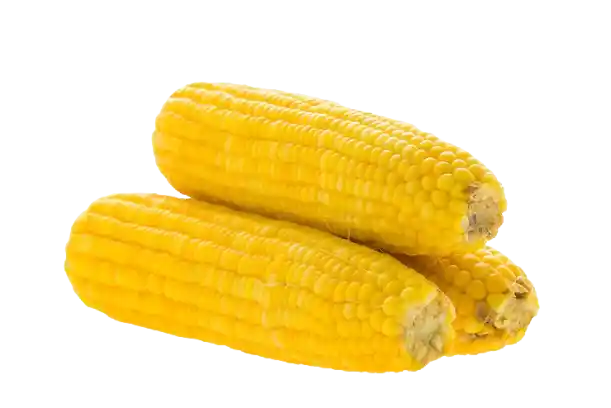 Sweet Corn