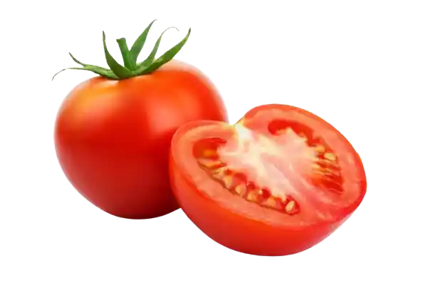 Tomato